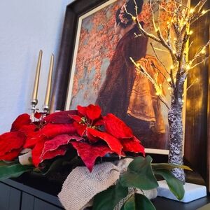 2 Huge Faux Poinsettia Flower